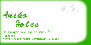 aniko holes business card
